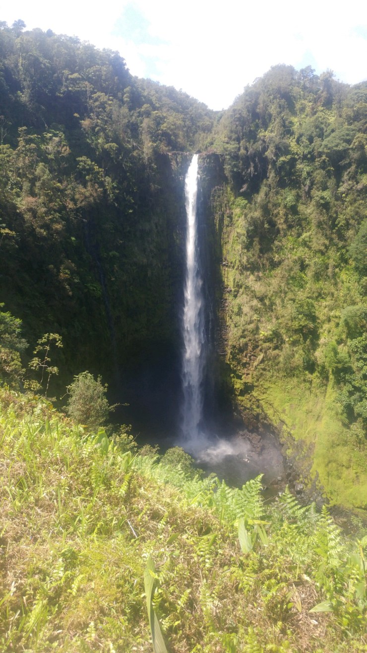 Hawaii Akaka